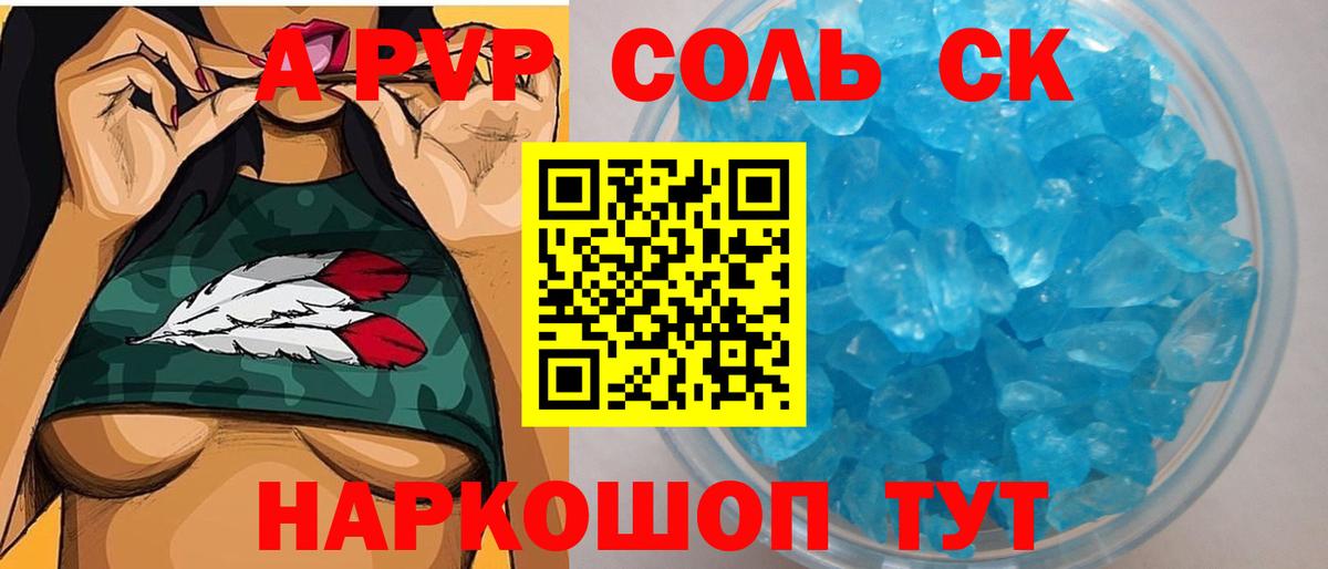 A PVP СК Котлас
