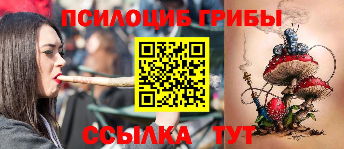 Псилоцибиновые грибы GOLDEN TEACHER  Галлюциногенные грибы Psilocybine cubensis  Котлас  Вход с VPN 
