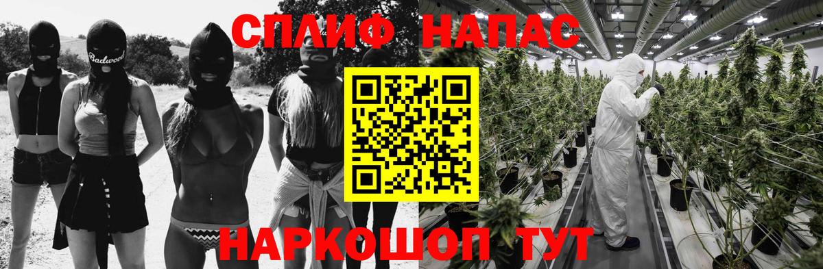 Бошки Шишки планчик Котлас